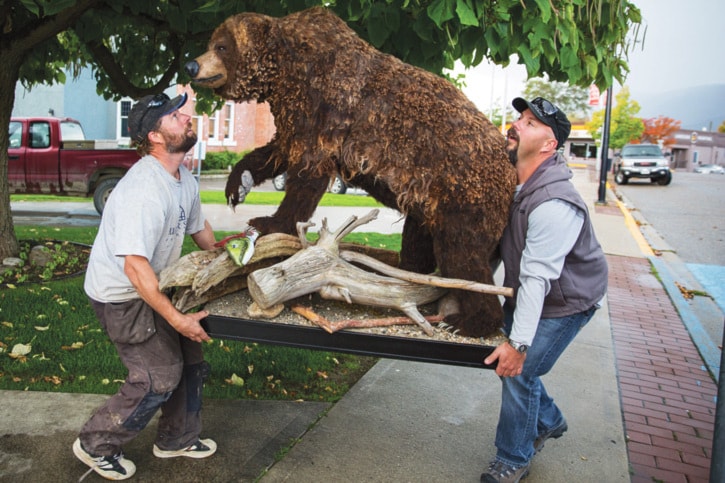 Bear Installation