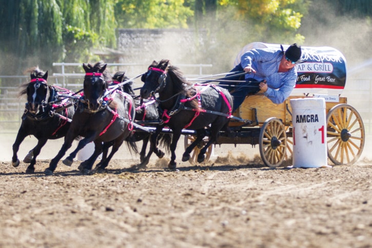 Fall Fair