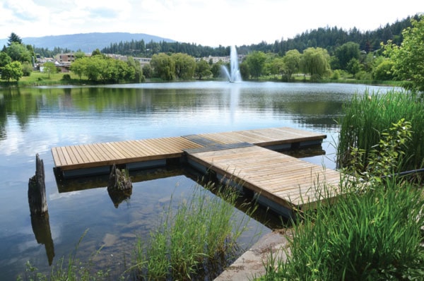 88948salmonarmJMnewdocksatMcGuireLake0610col