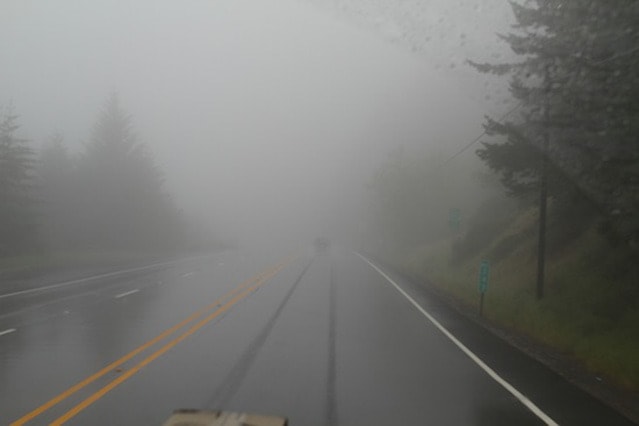 95664salmonarm-foggy-road