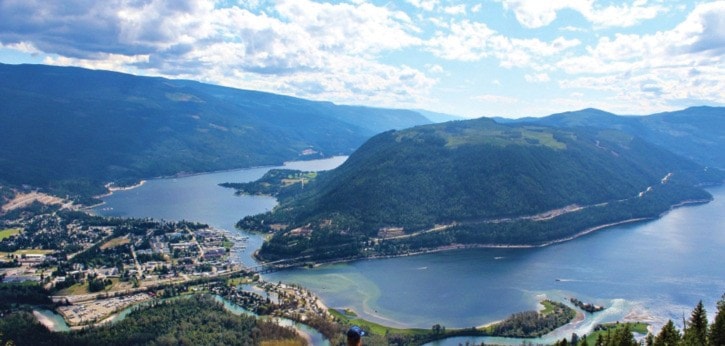 3867sicamoussicamouslookout
