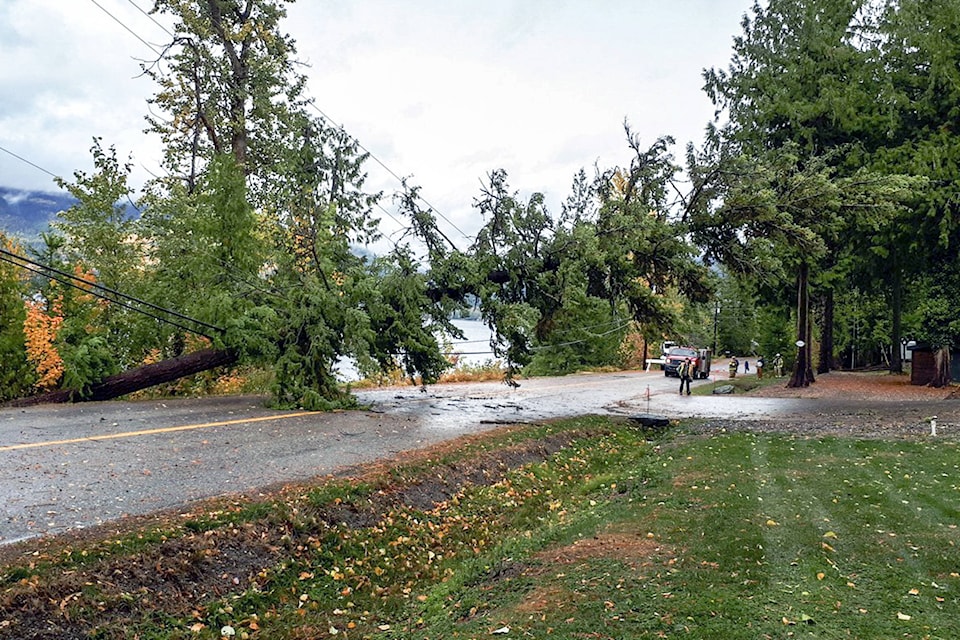 8986103_web1_171020-SAA-Fallen-tree-Eagle-Bay-Road-closed