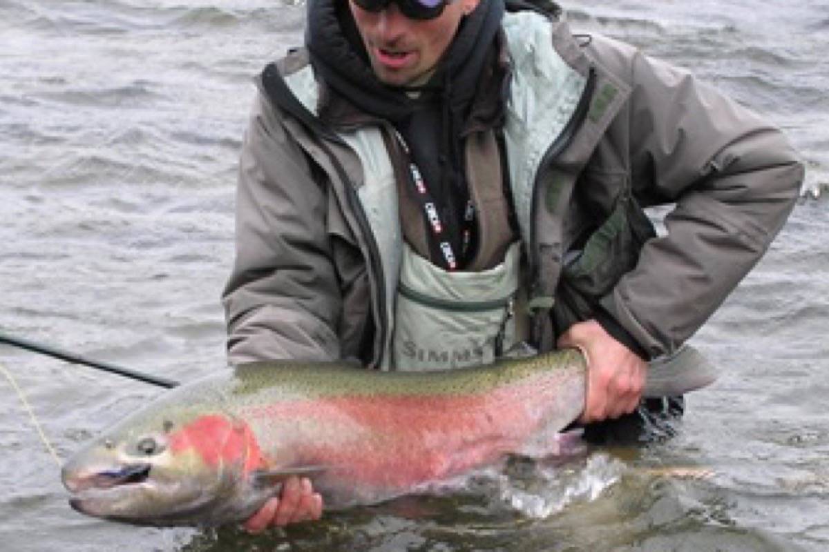 Thompson, Chilcotin Steelhead Trout in danger of extinction - Salmon Arm  Observer