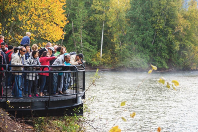 11776727_web1_20141012-Salmon-Run-EB-0005