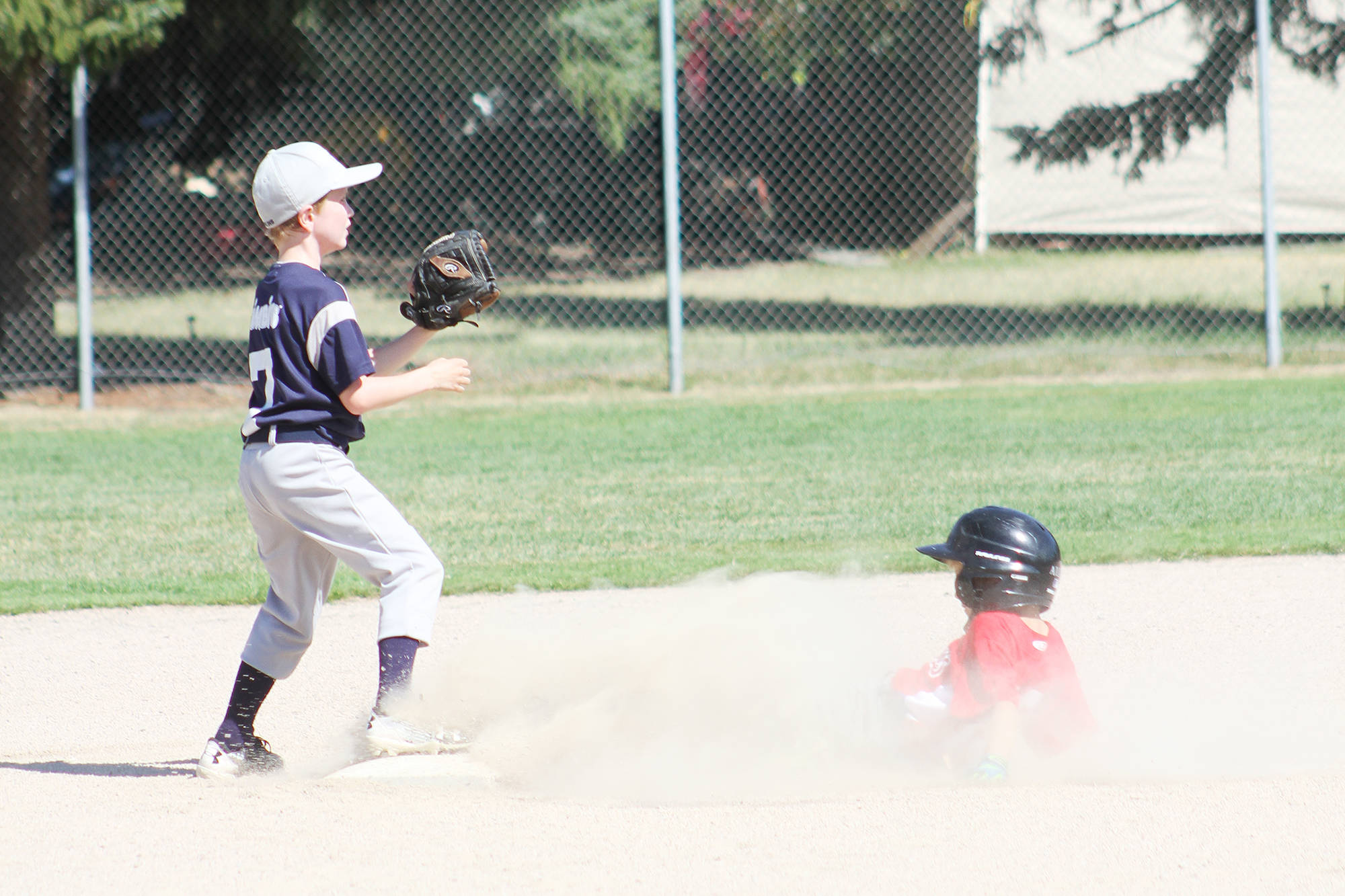 12867002_web1_180725-SAA-BAseball-Young-Guns2