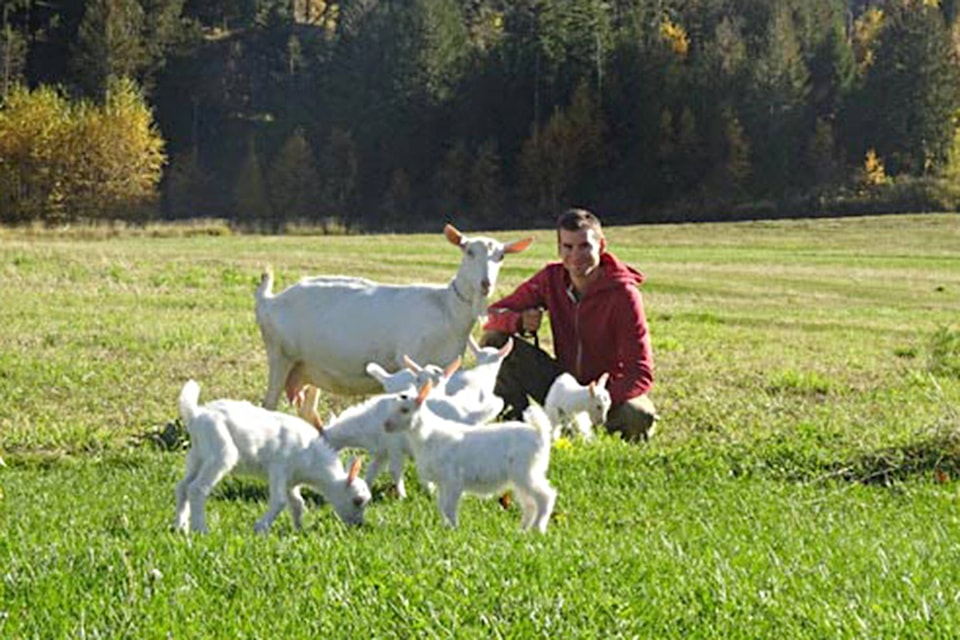 13974654_web1_copy_181017-SAA-baby-goats