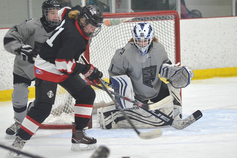 14557032_web1_181121-SAA-Minor-Hockey-Report