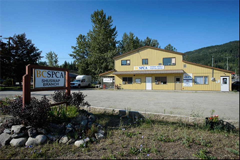 14801756_web1_181219-SAA-Shuswap-SPCA