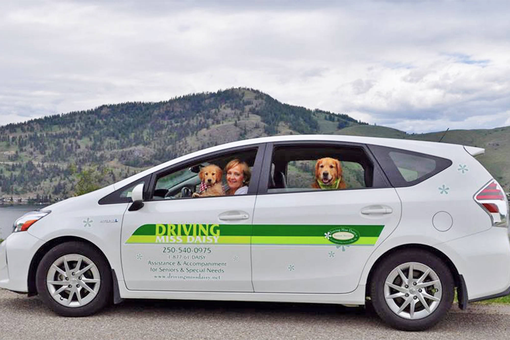 Dragon's Den success, Driving Miss Daisy, coming to Salmon Arm - Salmon Arm  Observer