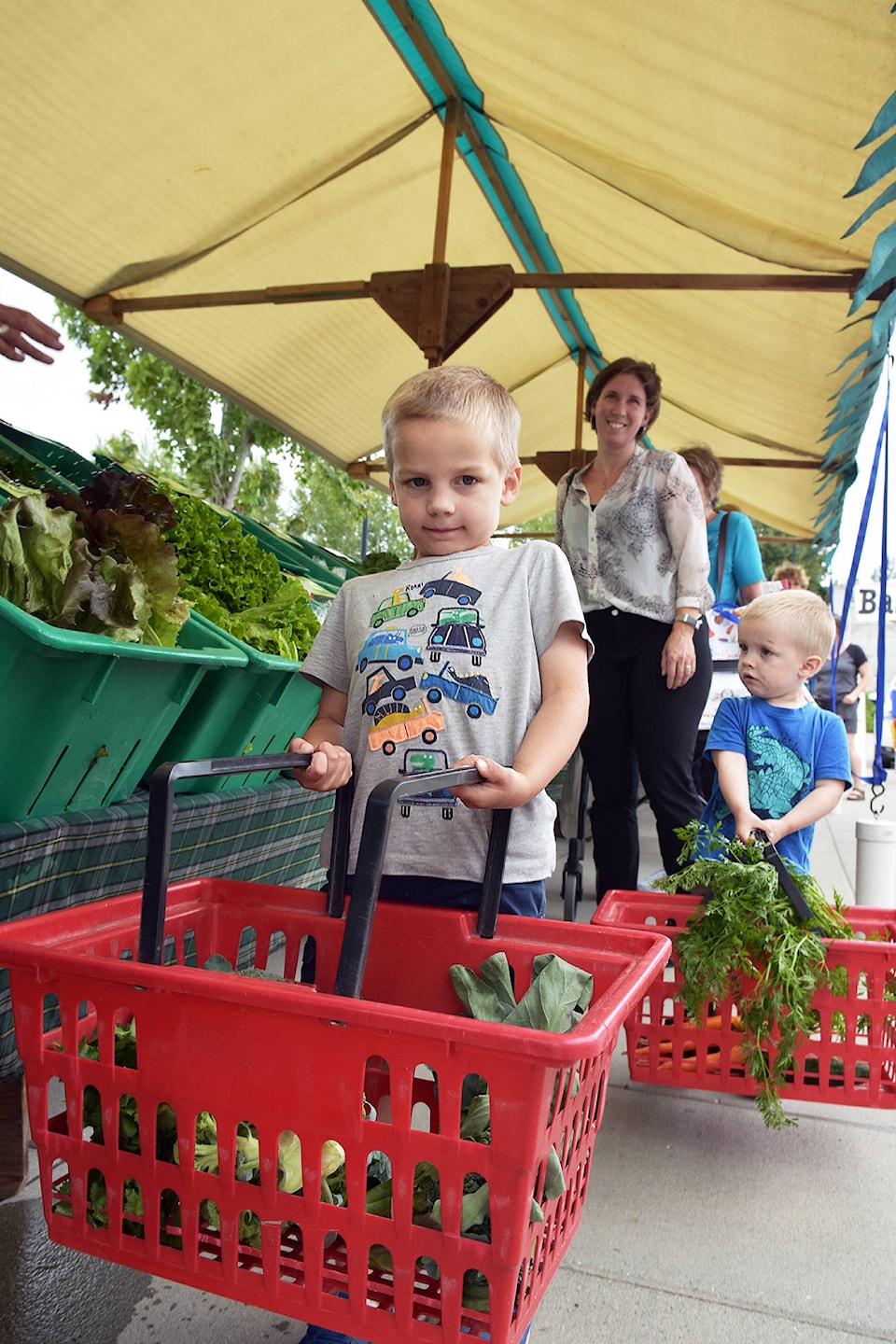 17664104_web1_190717-SAA-farmers-market-organic-wilsons