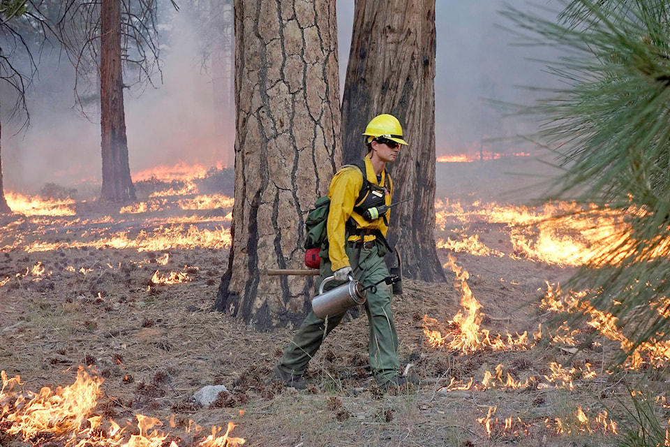 19169080_web1_Wildfire-prescribed-burns-PDN-190814