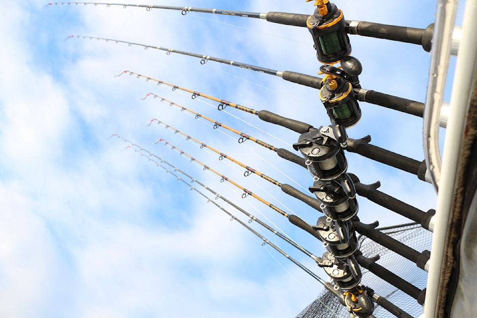 20334152_web1_copy_fishingrods.sl