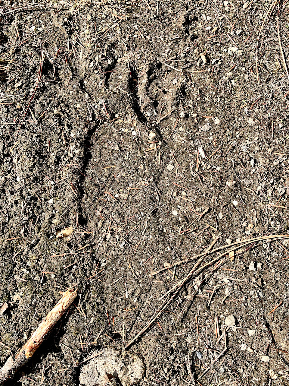 21250520_web1_200415-VMS-bigfoot-footprint_2