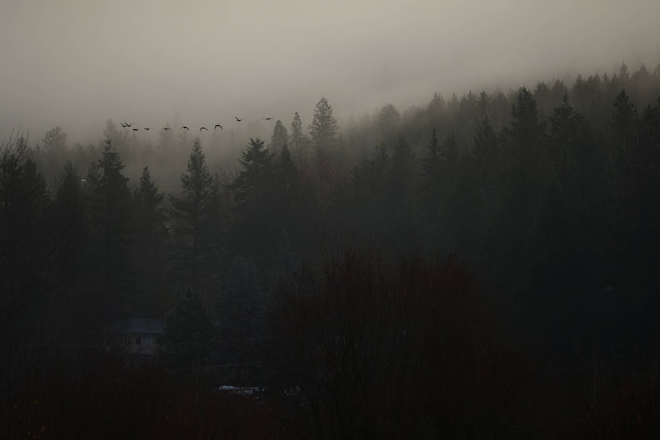 Fog is pictured shrouding the South Kelowna area Dec. 9 morning. (Phil McLachlan - Capital News)