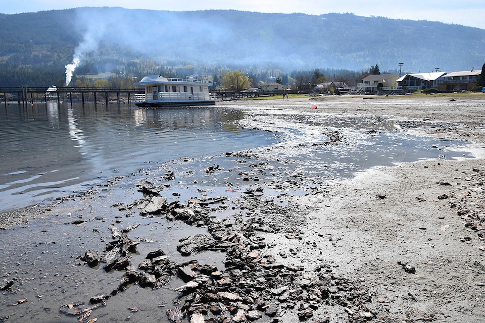 Residents who live near the Canoe Forest Products mill complain that smoke from the mill lingers over the town, while debris and muck visible at the end of April accumulate along the shore of Shuswap Lake in front of their homes. (Martha Wickett-Salmon Arm Observer)