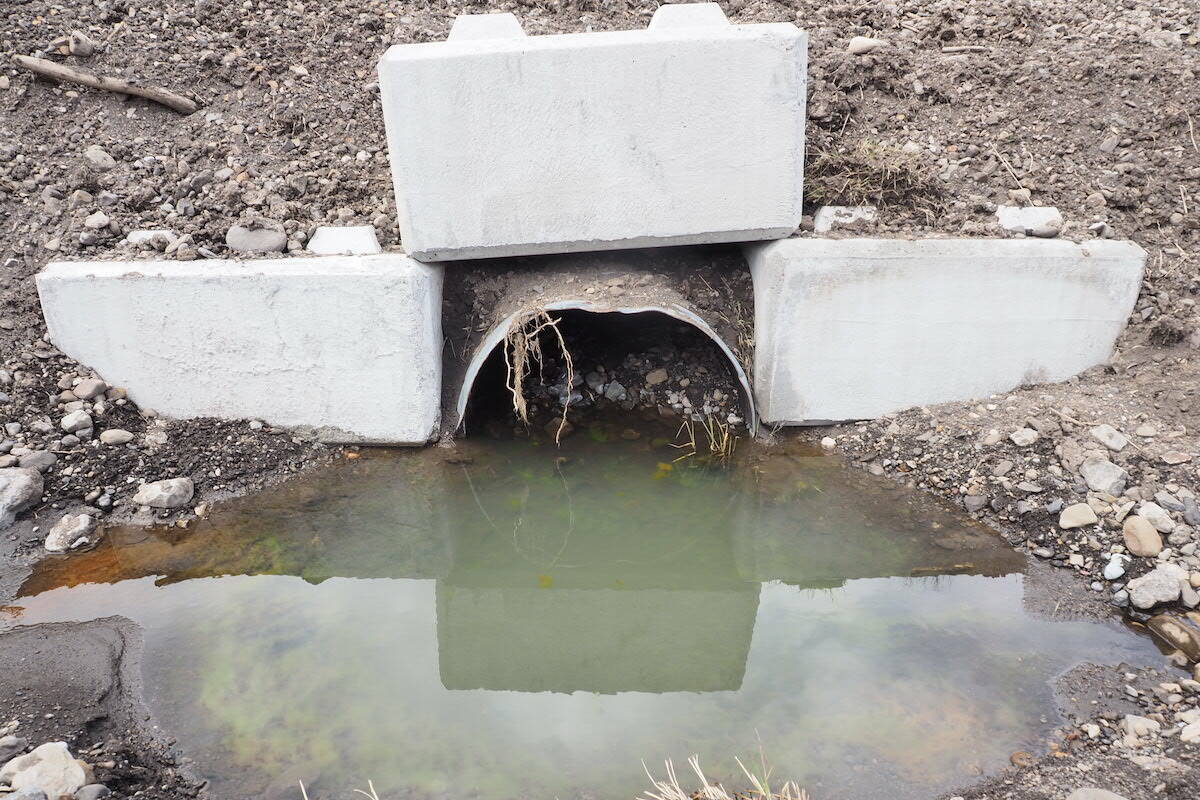 One of the culverts under the CP line near Bravais property in Cokato. While it was cleared the day after the flood, here it appears to be full of silt and rocks again as of April 2022. (Scott Tibballs / The Free Press)