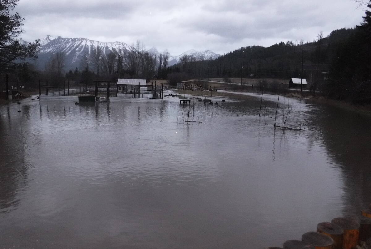 Thomas Bravais yard during the flooding on November 15 and 16 last year. (Image courtesy of Thomas Bravais)