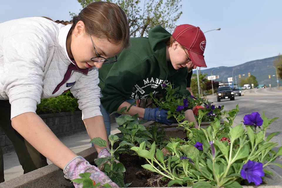 Grads Talia Brown and Emma Lloyd plant flower boxes along the Trans-Canada Highway early Thursday, May 26 between Alexander and Shuswap streets, with guidance from city gardener Hugh Bennett. (Martha Wickett- Salmon Arm Observer)