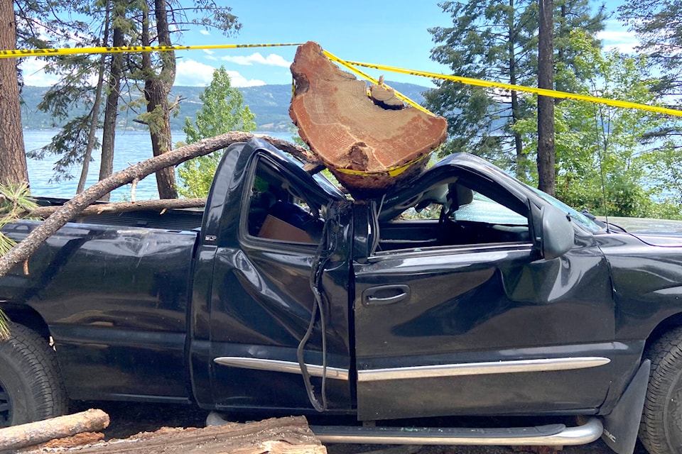 A tree fell on a truck at Evely Campground off Westside Road Friday, July 15, 2022. (Jennifer Smith - Morning Star)