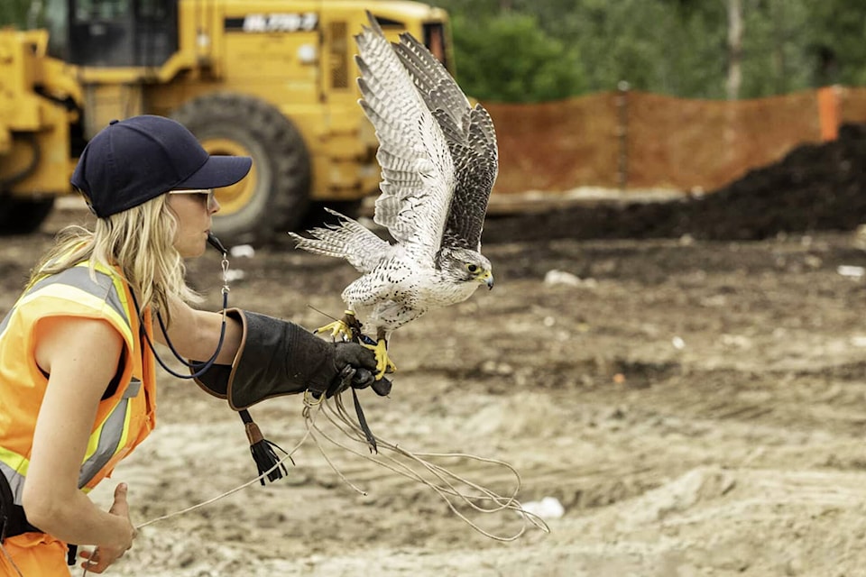 29957104_web1_220810-SAA-CSRD-salmon-arm-landfill_1