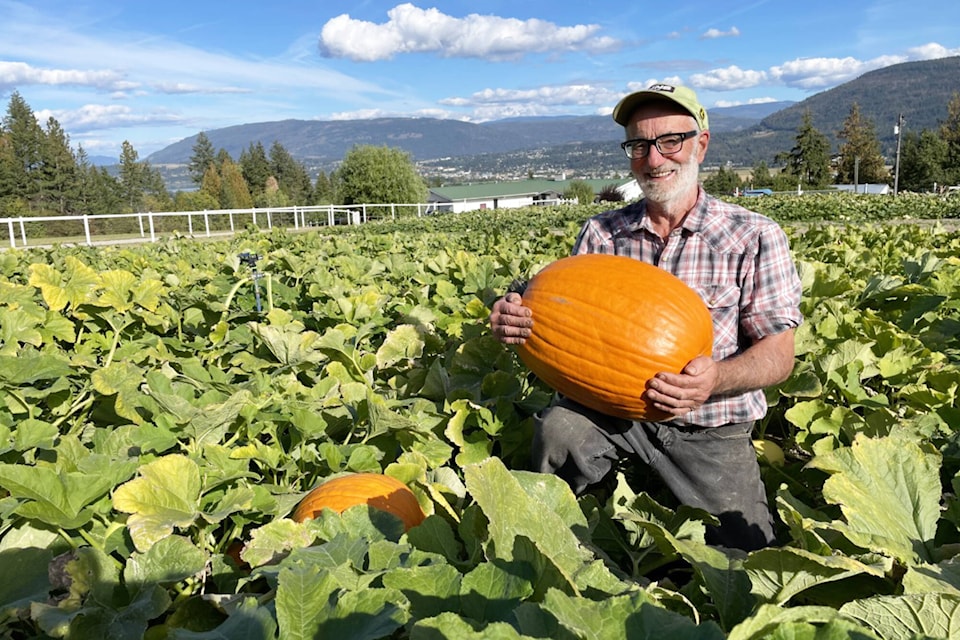 30513056_web1_220930-SAA-parsons-pumpkin-patch-free_1