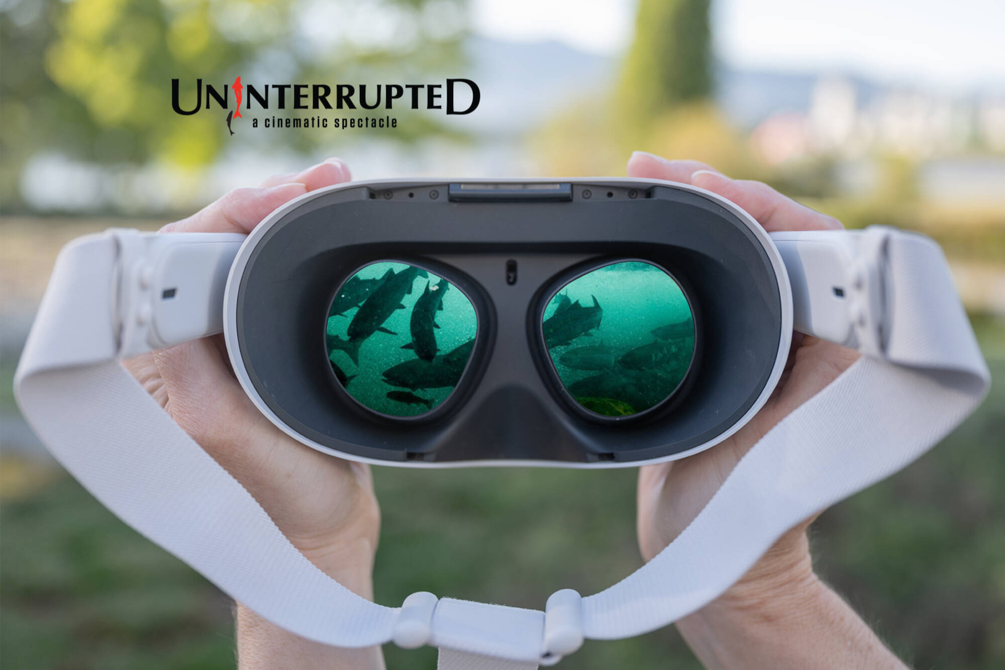 A pair of the goggles through which spectators can view UninterruptedVR when it comes to Quaaout Lodge in the North Shuswap on Oct. 26 and 27, then the Red Barn in Sicamous Oct. 28 and 29, Song Sparrow Hall in Salmon Arm Nov. 3-5, and lastly the Salmon Arm Art Gallery from Nov. 8 to Dec. 10. (Canada Wild Productions image)