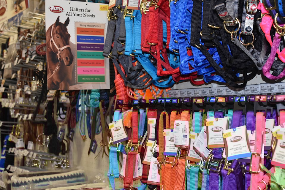 Peavey mart dog clearance run