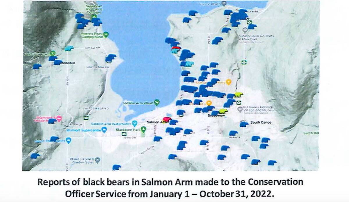 This map from WildSafe BC shows reports of black bears in Salmon Arm made to the Conservation Officer Service from Jan. 1 to Oct. 31, 2022. (WildSafe BC image)
