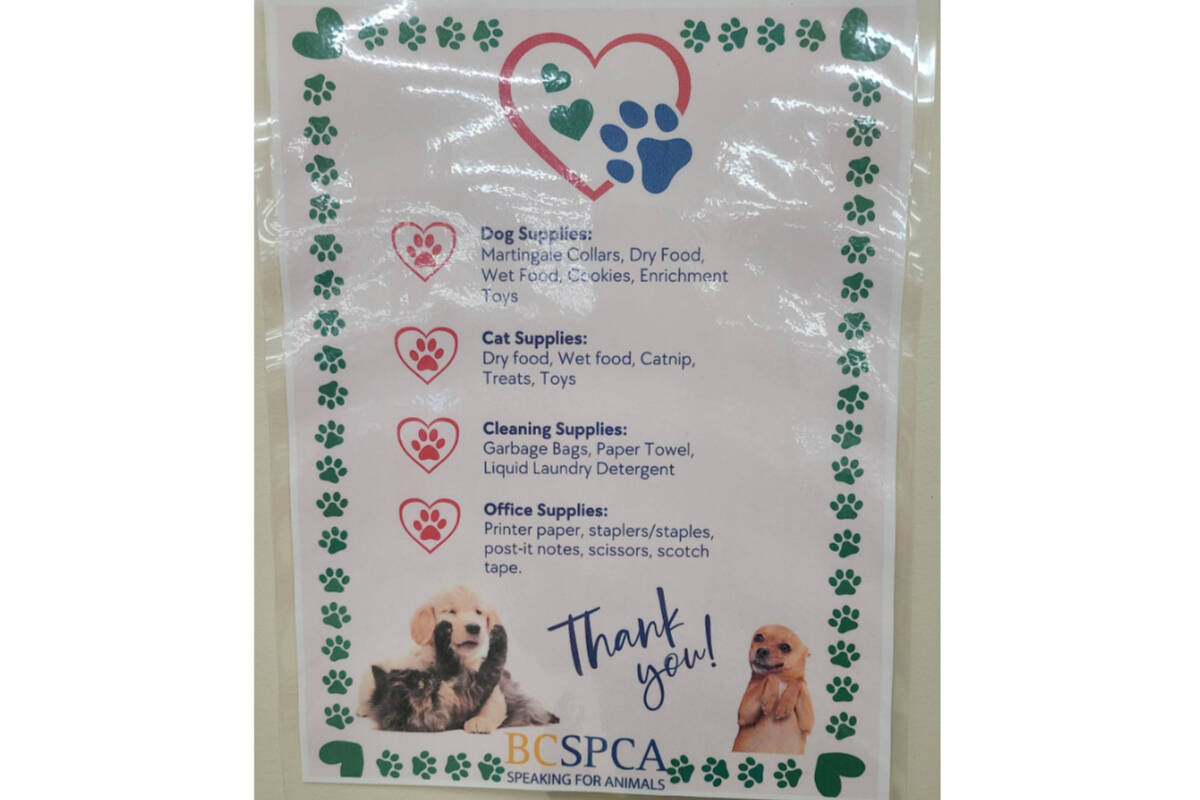BC SPCA wish list for pets at Christmas.