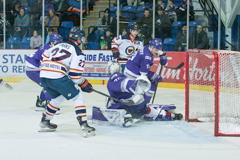 Next Generation: Salmon Arm Silverbacks