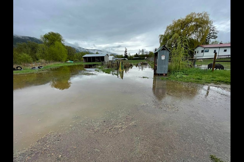 The backyard at Maria Otting and Thomas Koppel’s home has flooded, covering the market garden area, but not as badly as in 2018, thanks in part to all the work they’ve done to prevent damage from flooding. (Photo contributed)