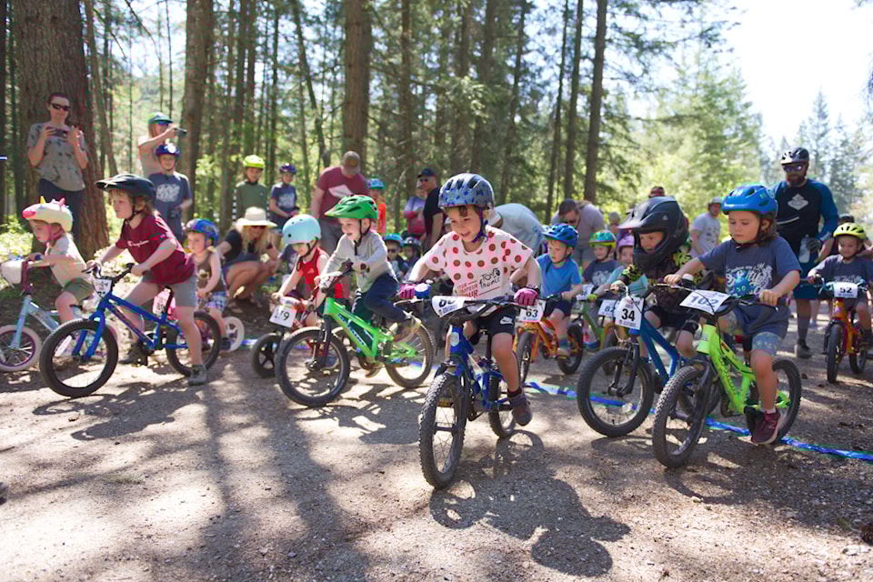 Salty dog hot sale bikes