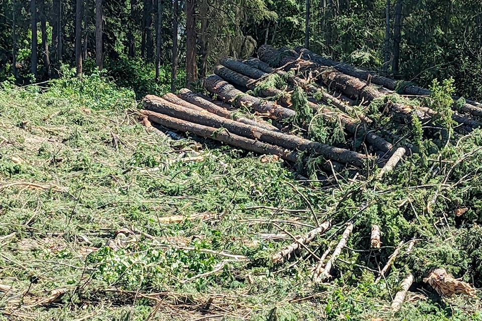 32954941_web1_230614-SAA-trees-felled2-25-st-NE