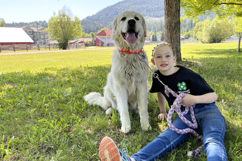 33167817_web1_230707-SAA-4H-Greta-dog