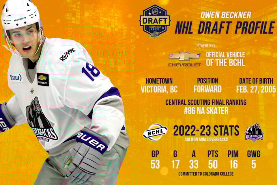 33186003_web1_230705-SAA-silverbacks-drafted