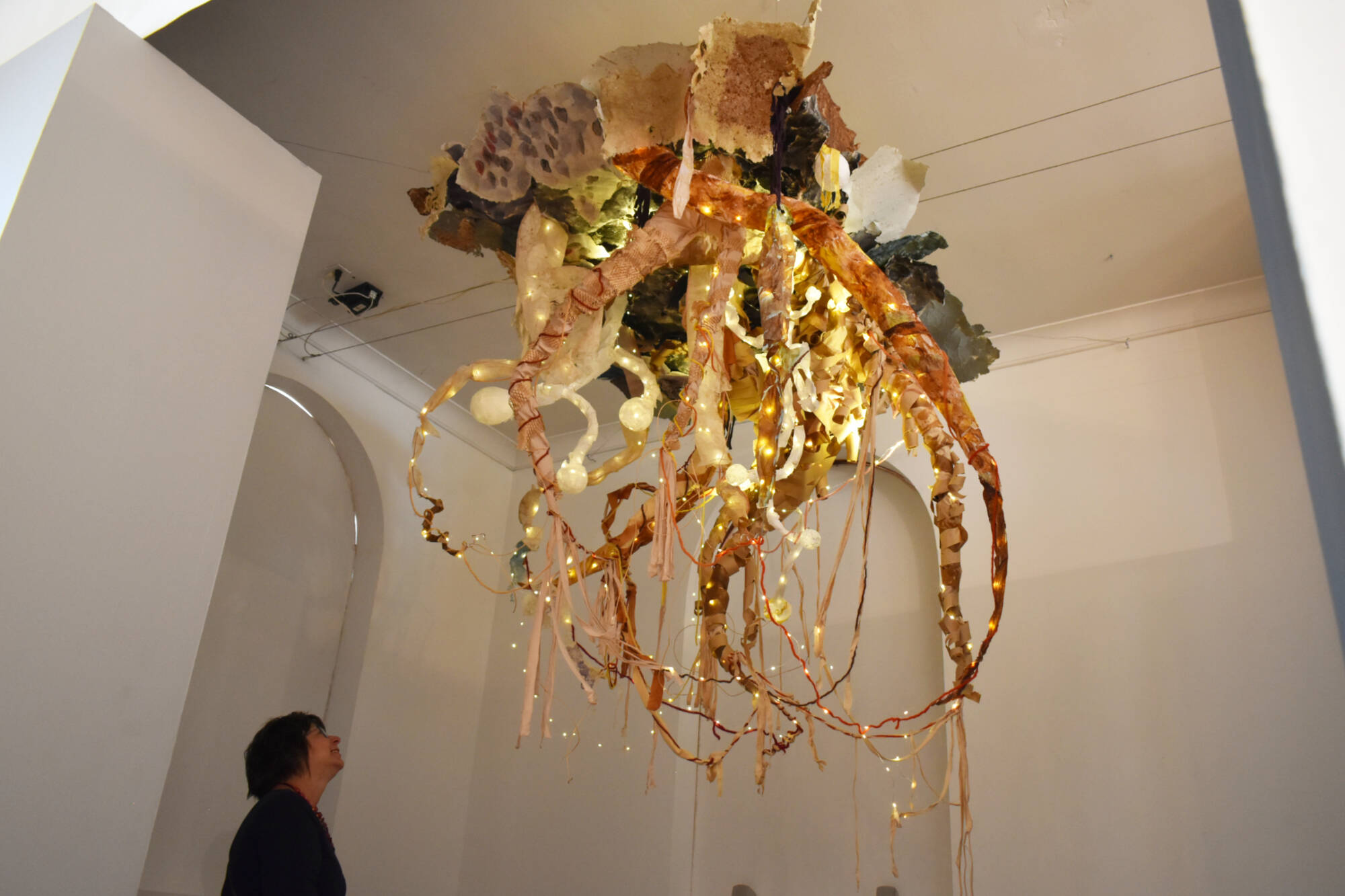 Myrna Giesbrecht looks up at Sarah Hopes soundscape and mixed media piece, Her Voice Gives Hope to the Future of Biodiversity. (Rebecca Willson-Salmon Arm Observer)