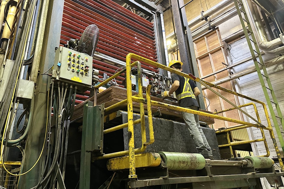 The hot press, where each sheet of plywood is inserted by hand, at the Canoe Forest Products mill in Salmon Arm. (Jim Cooperman photo)