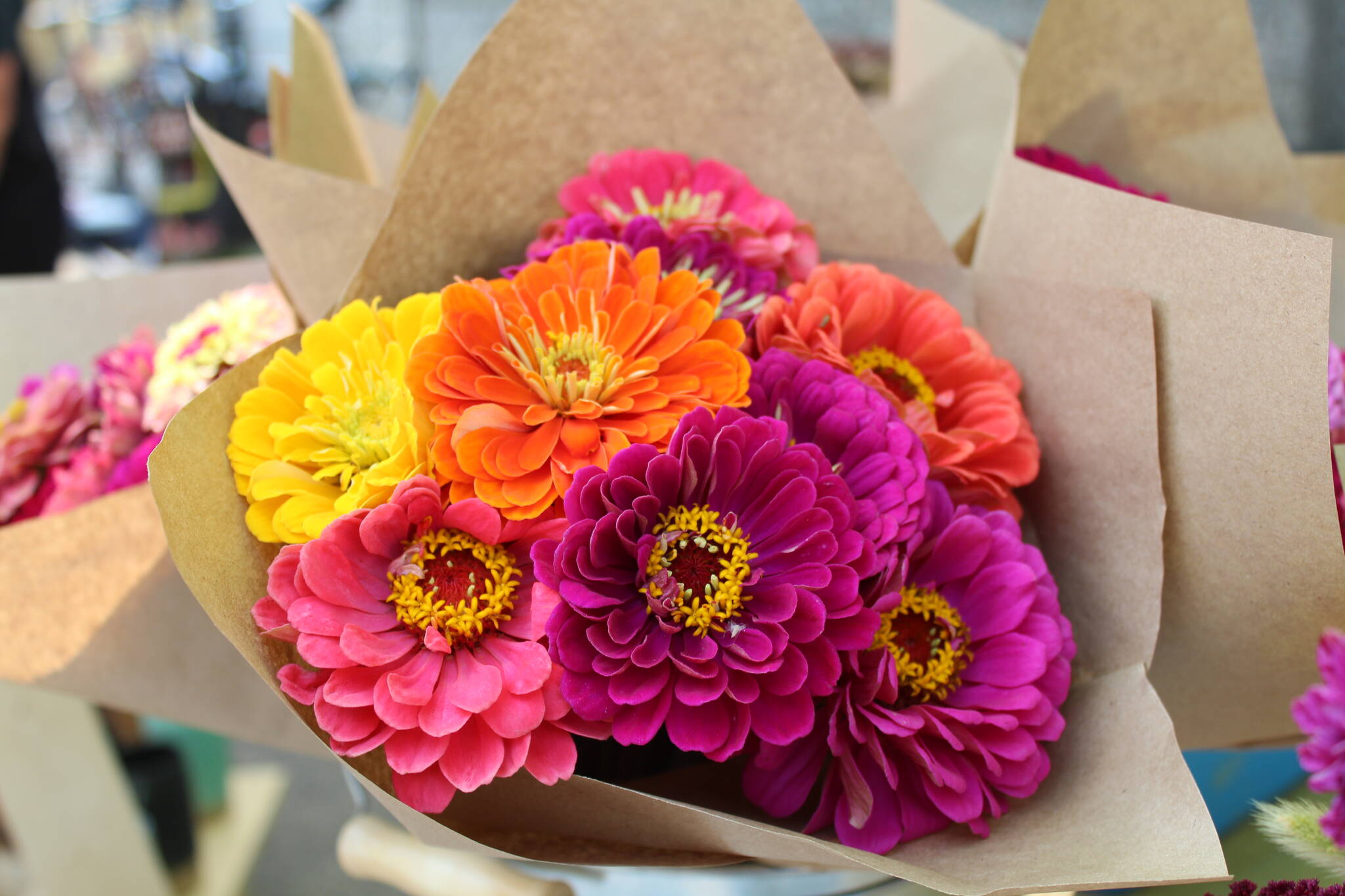 Under her green tent, the Sanjenkos flowers add a splash of colour to the market. (Zachary Delaney/Revelstoke Review)