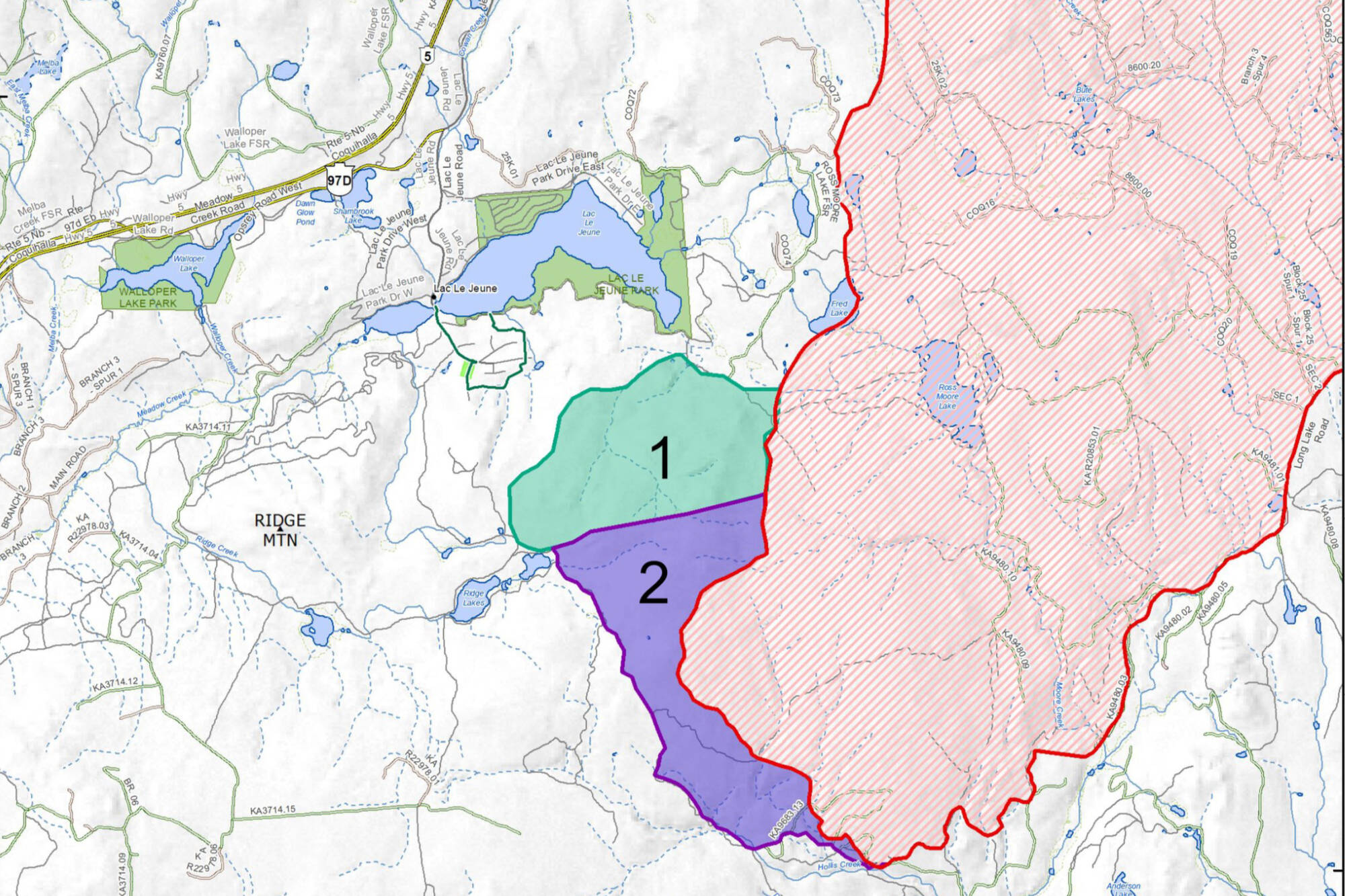 The map shows where BC Wildfire Service may conduct small test burns near the Bush Creek wildfire on Aug. 12-13, 2023. (TNRD)