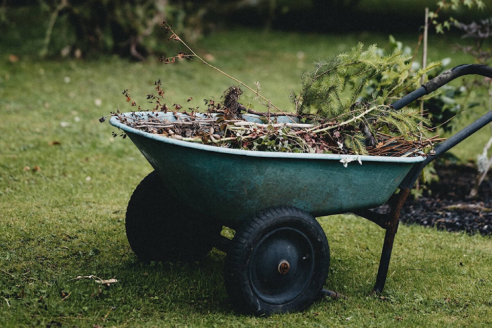 33711036_web1_210402-AHO-SpringClean-Yard_1