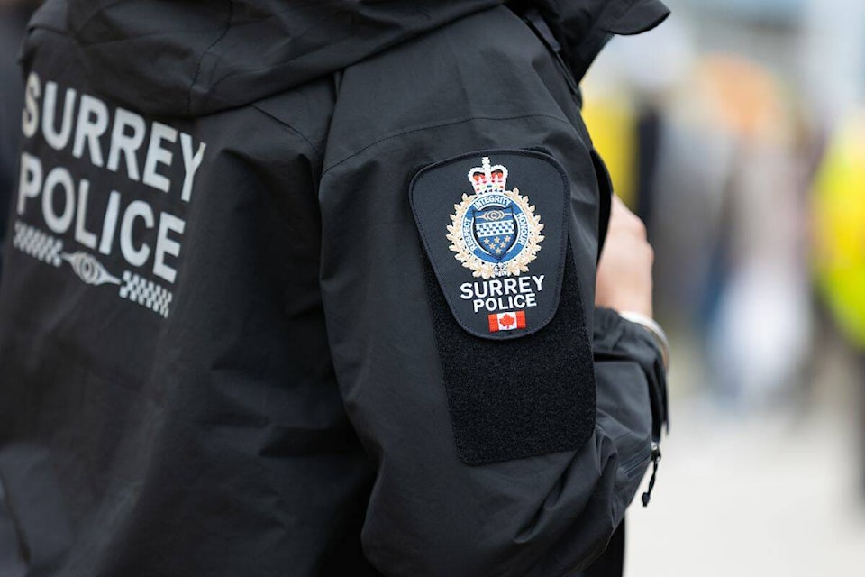 web1_230420-sul-aprilsurreystockimages-surreypoliceservice_7