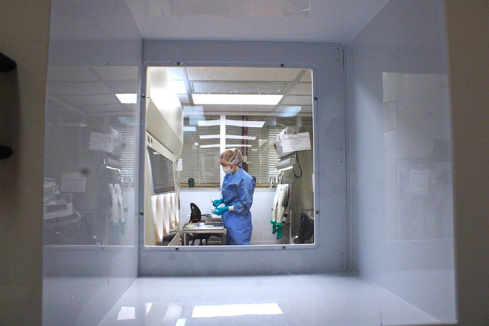 A member of the Deeley Research Centre’s immunotherapy lab works on developing CAR-T cells on Aug. 23. (Jake Romphf/News Staff) 
