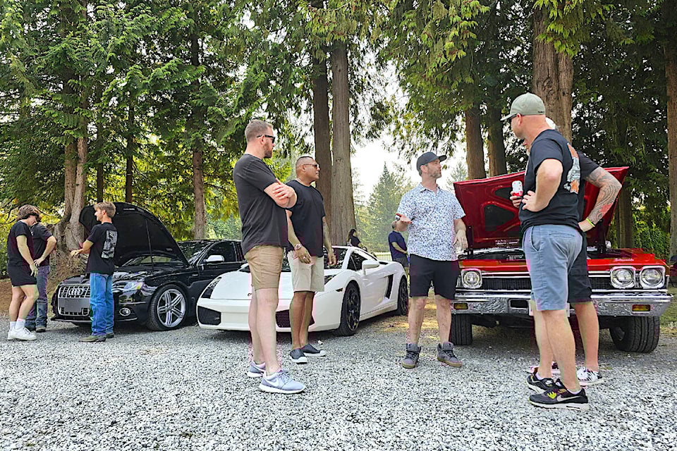 Some of the 45 cars that took part in the first Rally in the Valley fundraiser in 91ԭ on Sunday, Aug. 27th, to fight child cancer. (Dan Ferguson/91ԭ Advance Times) 