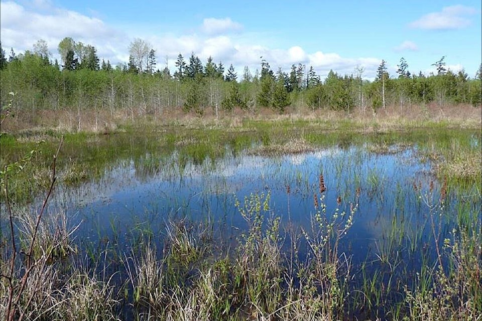 web1_170920-pqn-m-ermineskin-wetland-web-sept21
