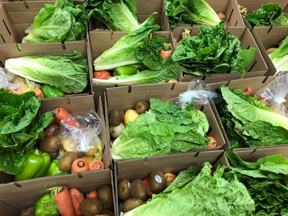 web1_210126-crm-good-food-box-boxes_1