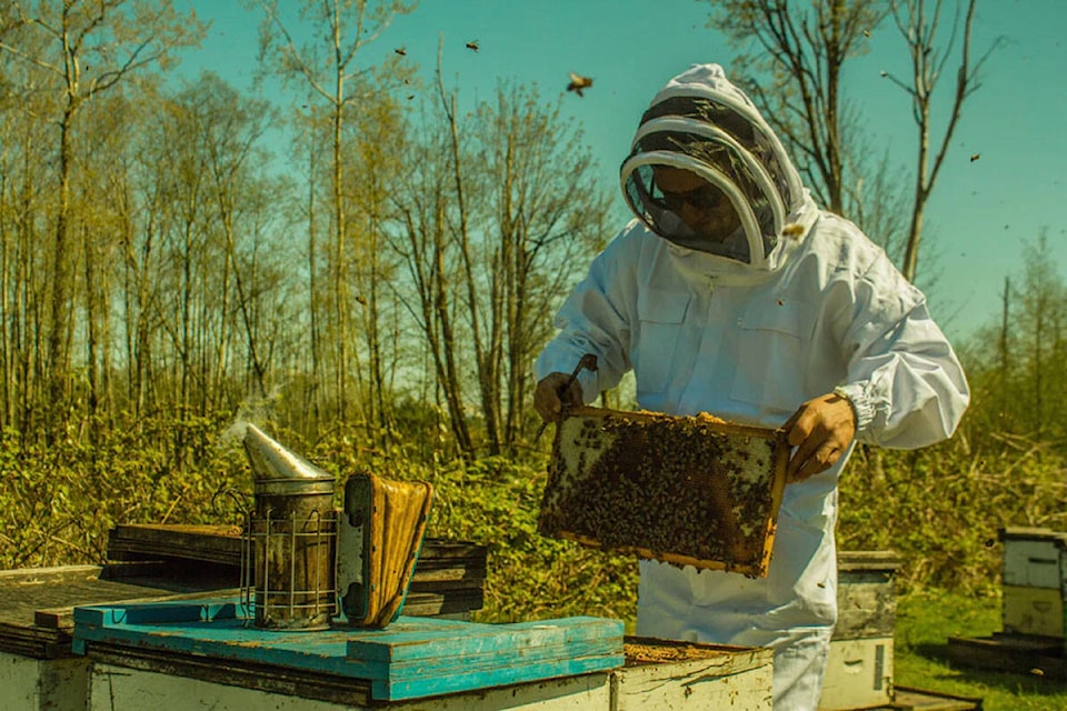Iman Tabari, a beekeeper in South Surrey, is giving sustainable beekeeping one more go, as his passion to save pollinators has not diminished. (Iman Tabari/contributed photo) 