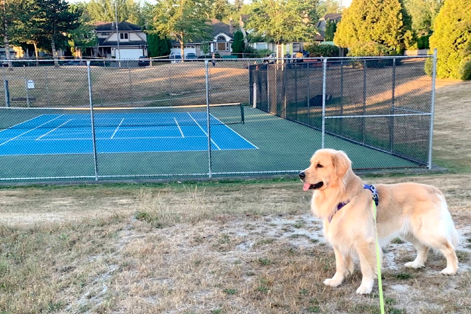 web1_230901-lat-rh-lenslangtennisdog-dallas_1