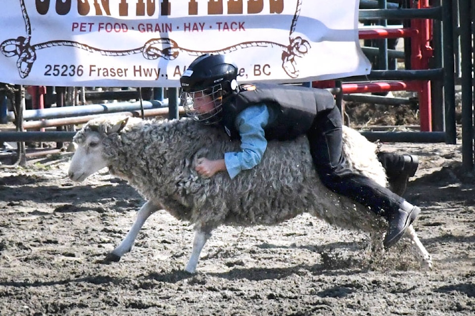 web1_230902-lat-ke-dayonerodeo-_2