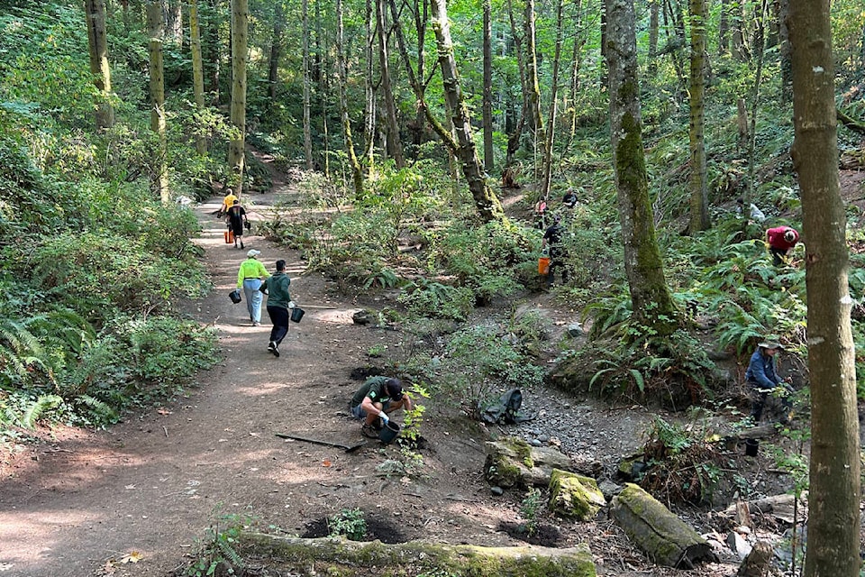 The Greater Victoria Green Team hosts a TD Tree Days event adding native plantings to Mystic Vale in Saanich. (Courtesy Greater Victoria Green Team) 