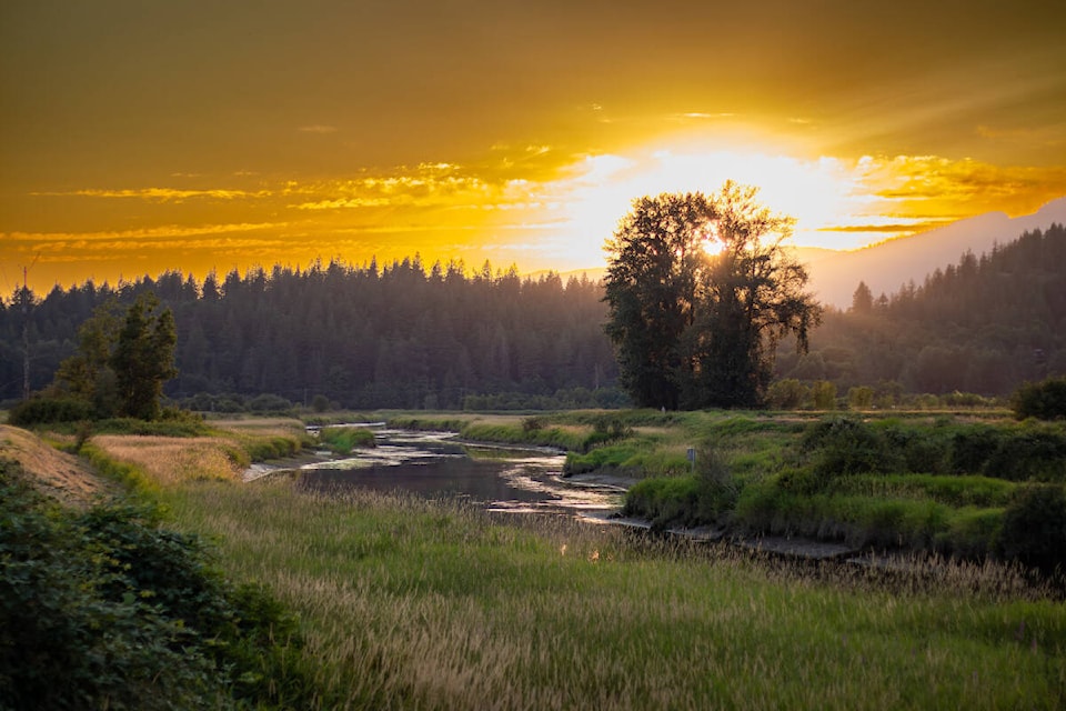 This photo is one of the 20 entries in the 2023 Rivers Day photo contest hosted by the Alouette River Management Society. (ARMS/Special to The News) 
